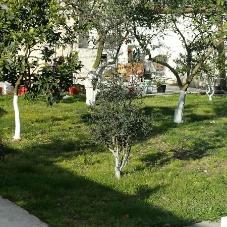 Near Airport Cozy דירה *